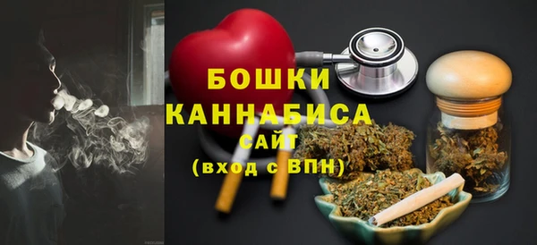 2c-b Бородино