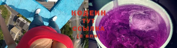 2c-b Бородино