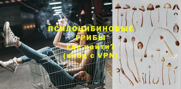 2c-b Бородино