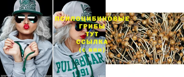 шишки Бугульма