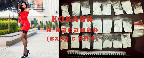 2c-b Бородино