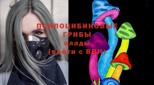 шишки Бугульма