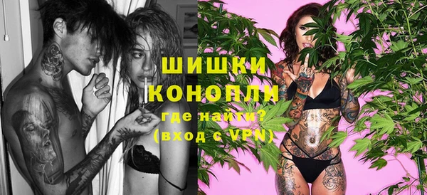 стаф Бронницы