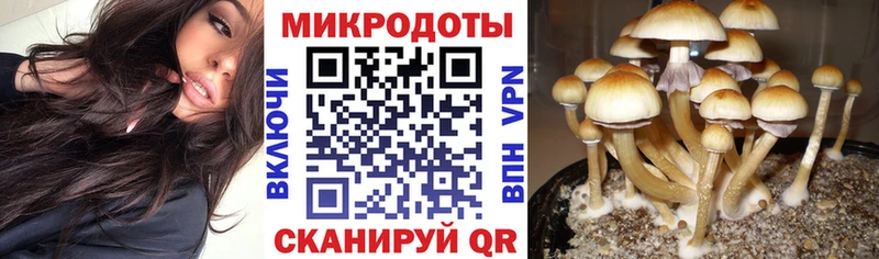 Галлюциногенные грибы Magic Shrooms  Купить  Копейск 